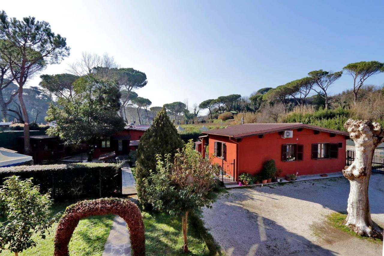 Antico Platano Bed & Breakfast Rome Bagian luar foto